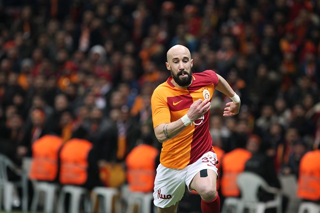 能够弥补很 能够弥补很