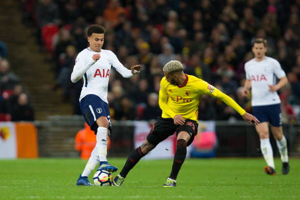 其表現也贏 其表現也贏